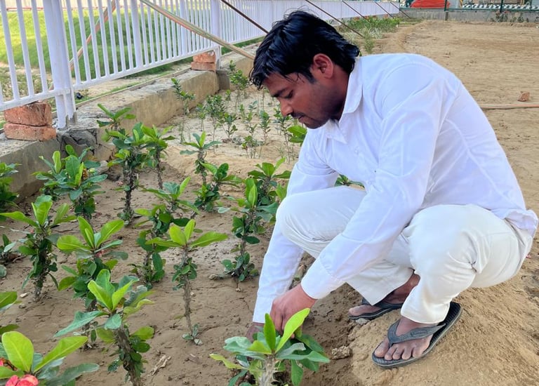 Landscaping in Delhi NCR by Garden Oasis