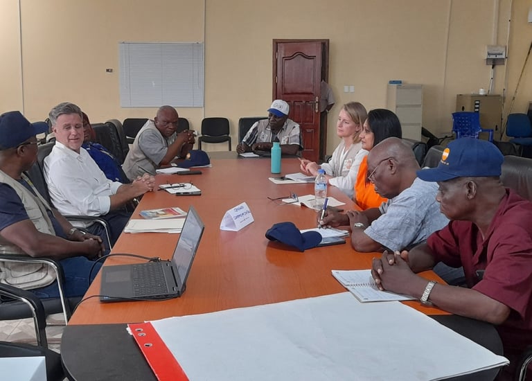 Dr Bolaji Taiwo, Strategic Leadership for National Governments & International Donors