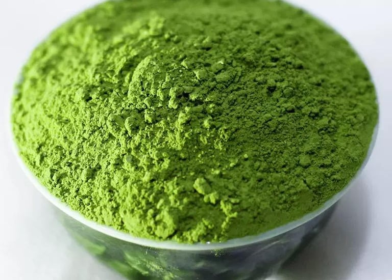 Xinyang Maojian green tea leaves