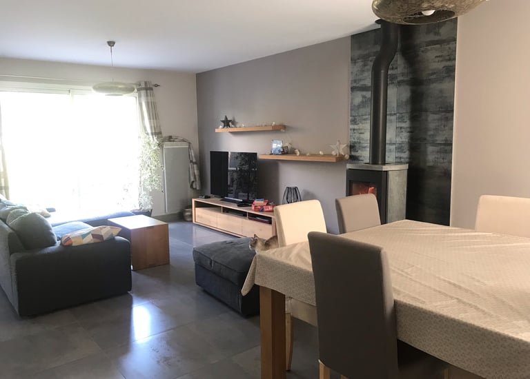 Photo d'un salon, salle à manger dans les tons beiges et gris.