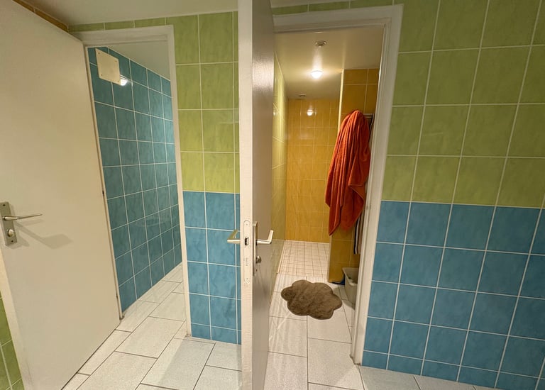 Salle bain avec carrelage vert et bleu