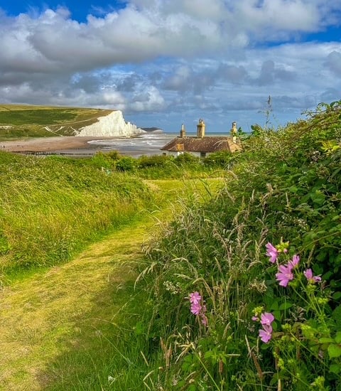 image of the famous Fishermans cottages with the cliffs of the Seven Sisters.