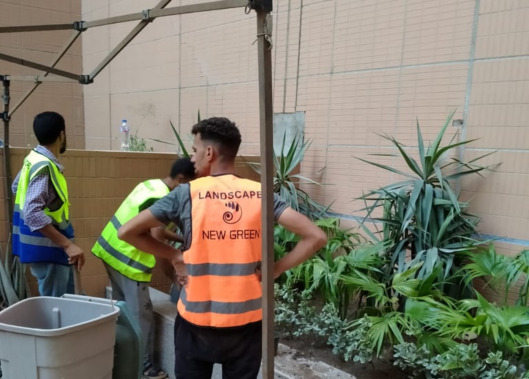 newgreentouch landscaping