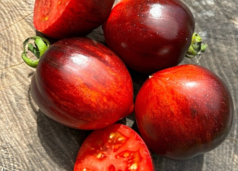 GARGAMEL HEIRLOOM TOMATO