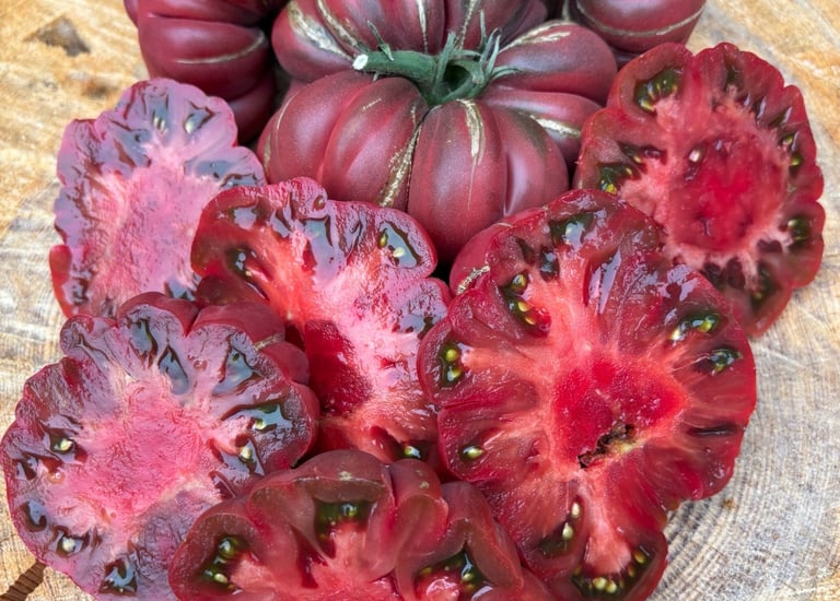 ZAPOTEC BROWN FLESH - Rare Mexican Heirloom 