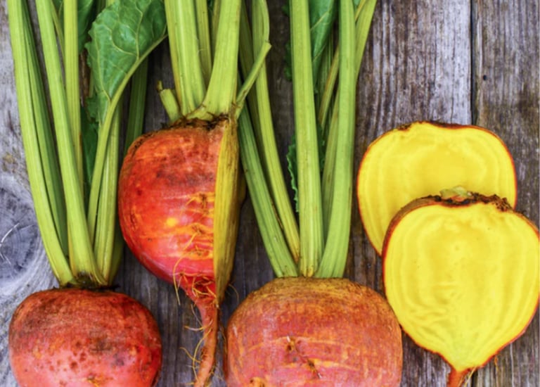 BURPEES GOLDEN HEIRLOOM BEETROOT