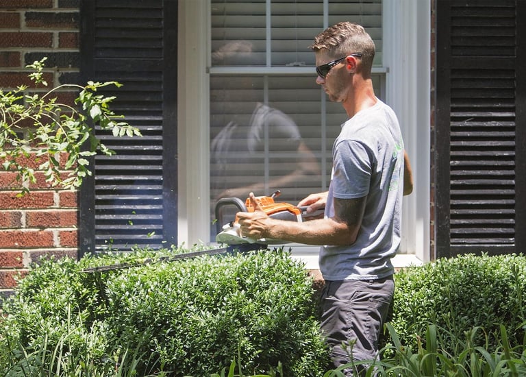 Shrub Trimmingh