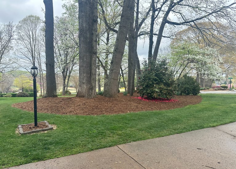 Fresh mulch installation around foundation beds in Catawba County NC