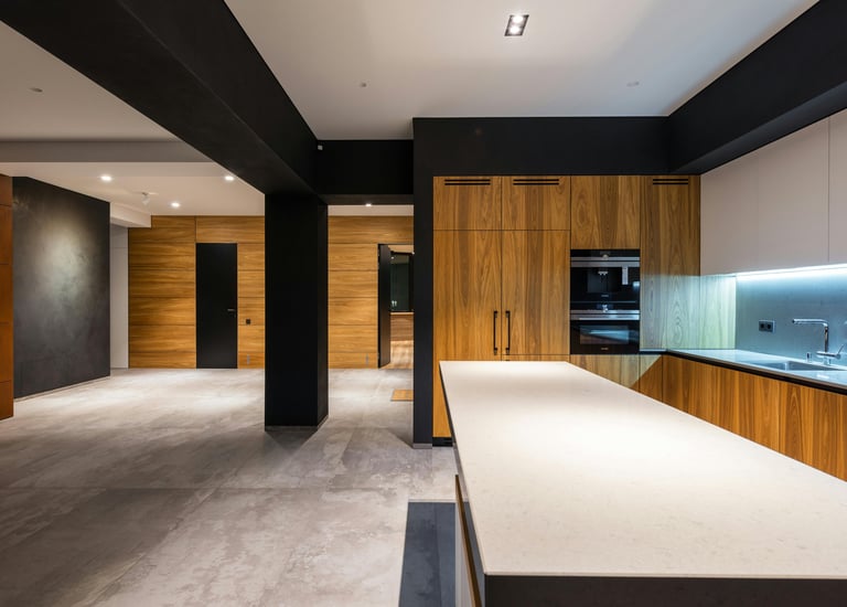 Modern Basement