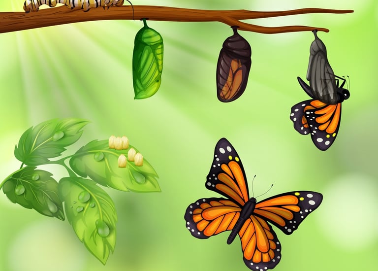 Transformative Results