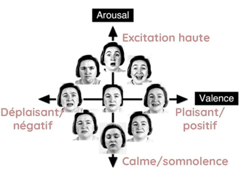emotions chez l'humain modele dimensionnel