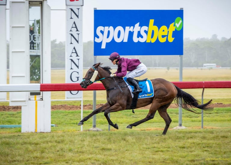 Horse racing past the winning post