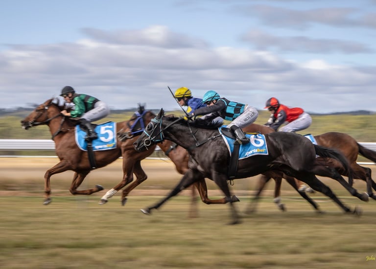 Horses Racing