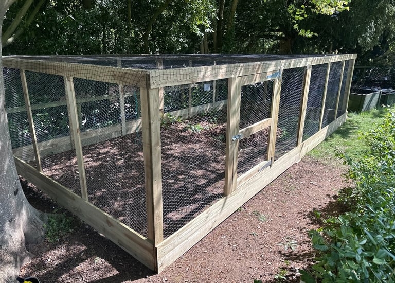 A large wooden walk-in fruit cage with chicken wire mesh and a garden door for crop protection.