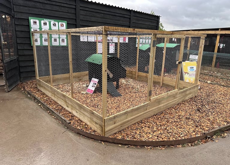 A secure wooden chicken coop with wire mesh fencing and a plastic hen house on wood chips.