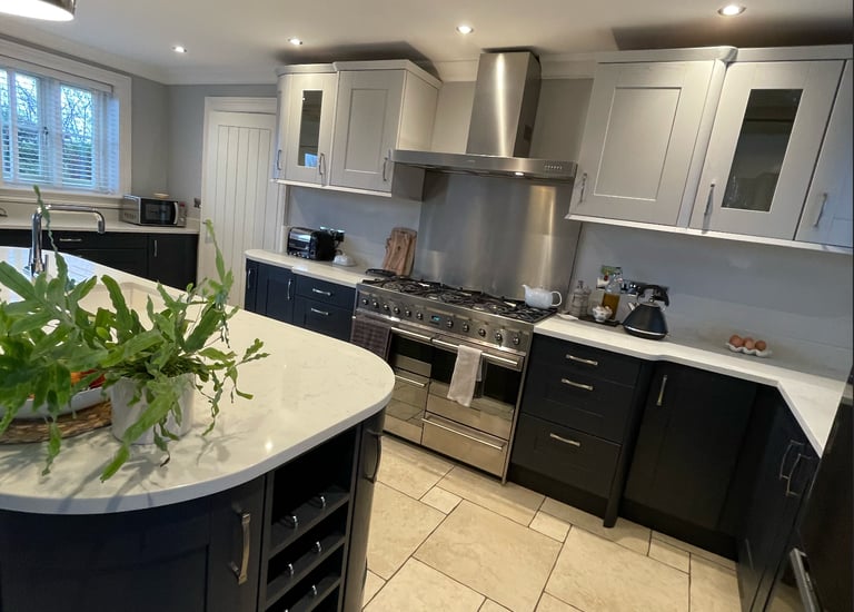 kitchen and a green plant