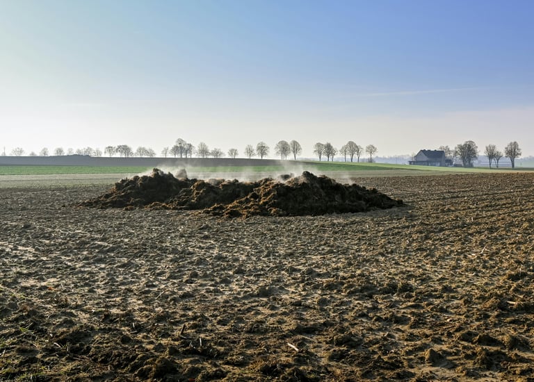 Biosolids and animal-based waste