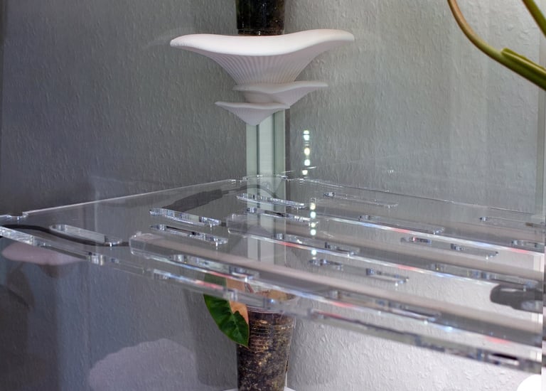 a plant in a glass case with a potted plant