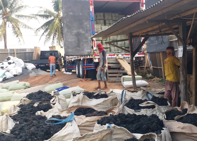 Dried Gracilaria seaweed 15% moisture and 3% impurity for agar-agar, Agriculture and Cosmetics