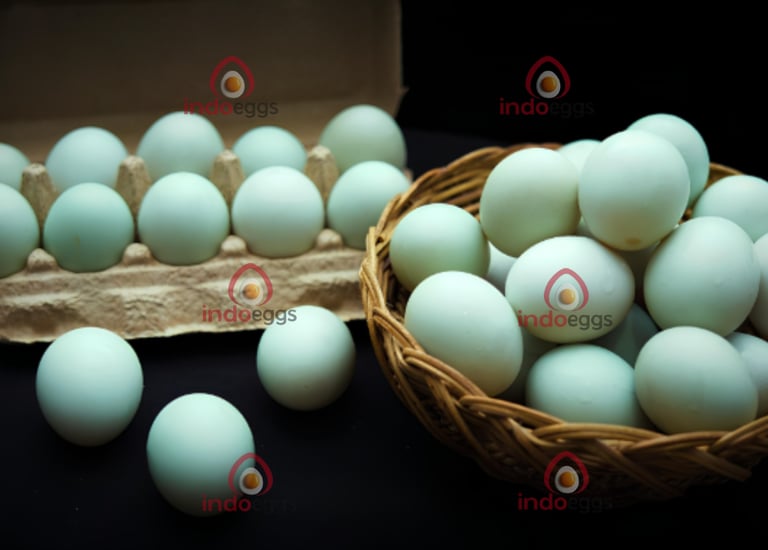 Duck and quail eggs are less common but offer unique flavors and textures. Duck eggs are larger.