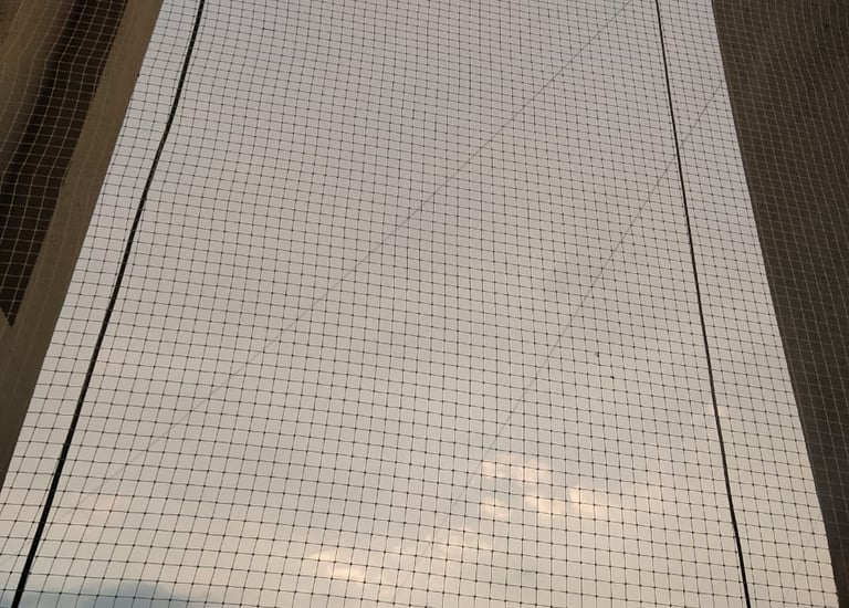 Bird net pune