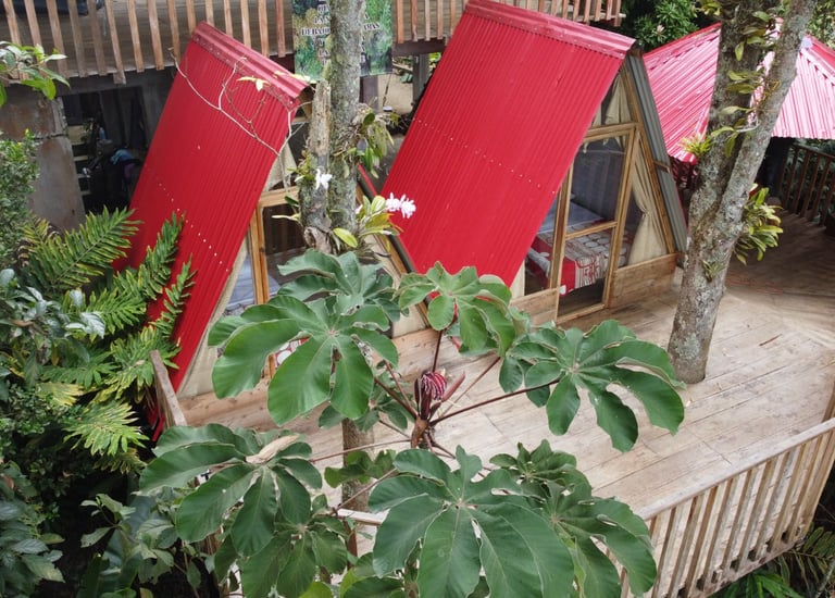 Cabañas rurales entre vegetación tropical y árboles frutales