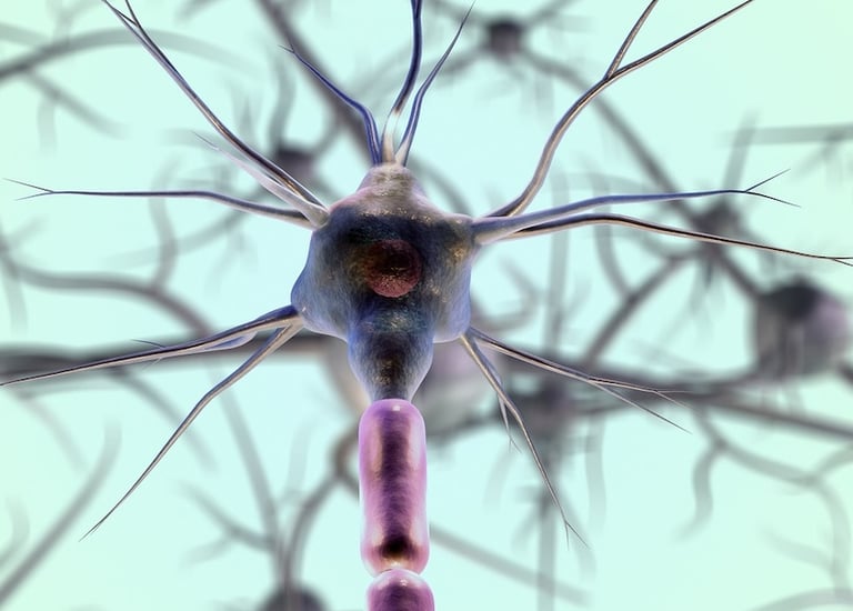 Microscopic image of a neuron.