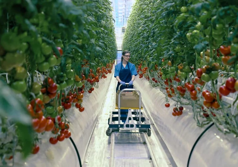 Green Agri: Promoting sustainable agriculture practices for a greener future!