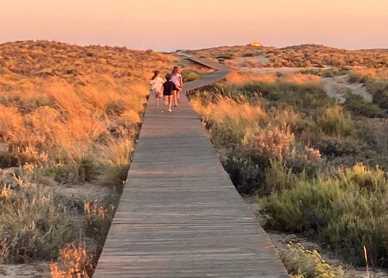 sessions-psicologia-infants