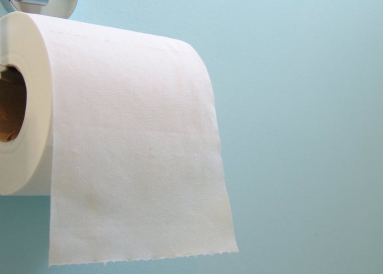 "Toilet paper roll hanging on a metal holder against a light blue wall."