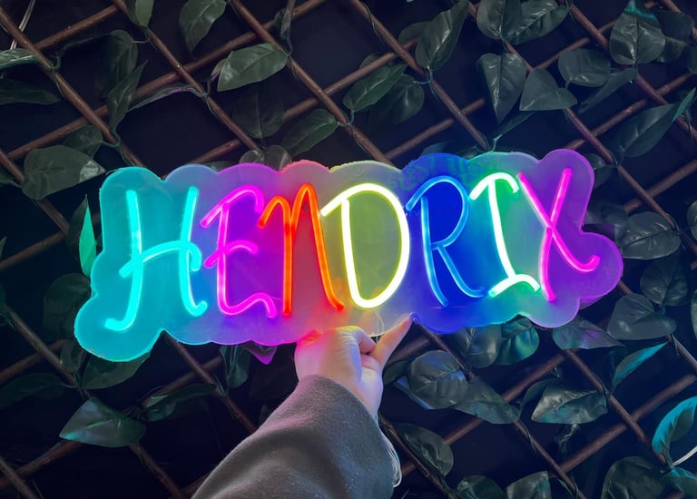 Viziona-Neones-alicante-juan pablo roa patiño