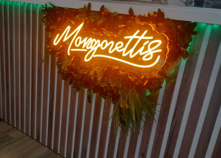 Mangonettis-Neones-Alicante-Viziona-Neones-alicante-juan pablo roa patiño