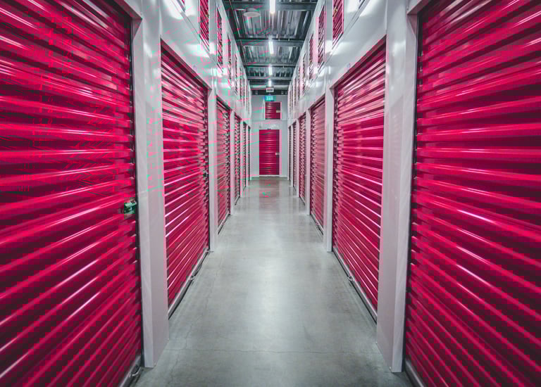 People are choosing to live in storage units because they cannot afford homes or apartments. 