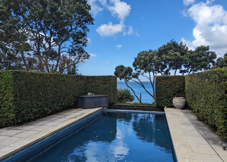 Castor bay sea view garden with pool and eugenia sharp hedge