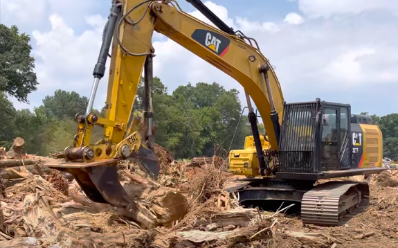 stump-dump-collection