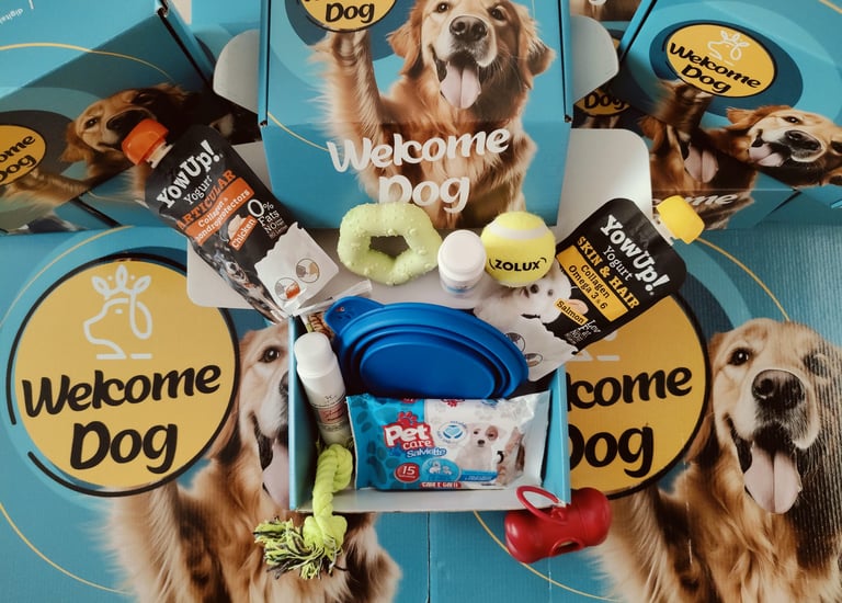 welcome dog in regalo