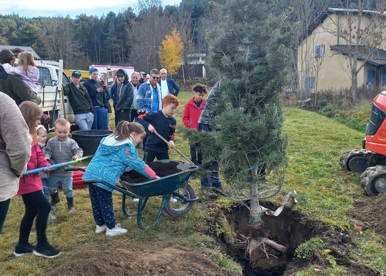 Plantation d'un arbre de Noël, Fontrabiouse 2025
