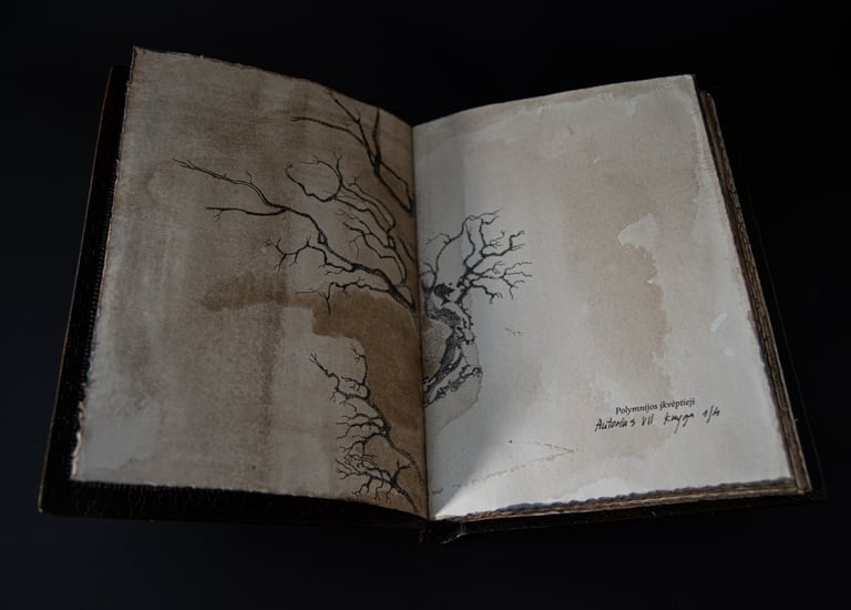 Iliustracijos – originalai,  atliktos mišria technika.