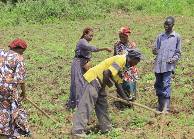 Appuis direct à la pratique et technique agricole