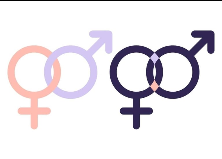 AFEPD lutte contre VBG