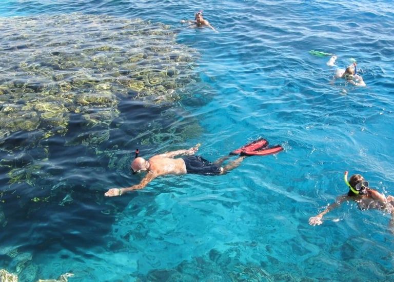 shore-snorkeling-marsa-alam-red-sea