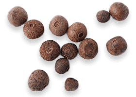 BioPerine - Joint Genesis Ingredients