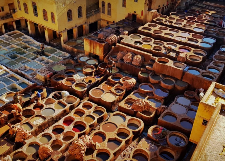 Chouara Tannery in Fes Medina during 2-day cultural heritage tour