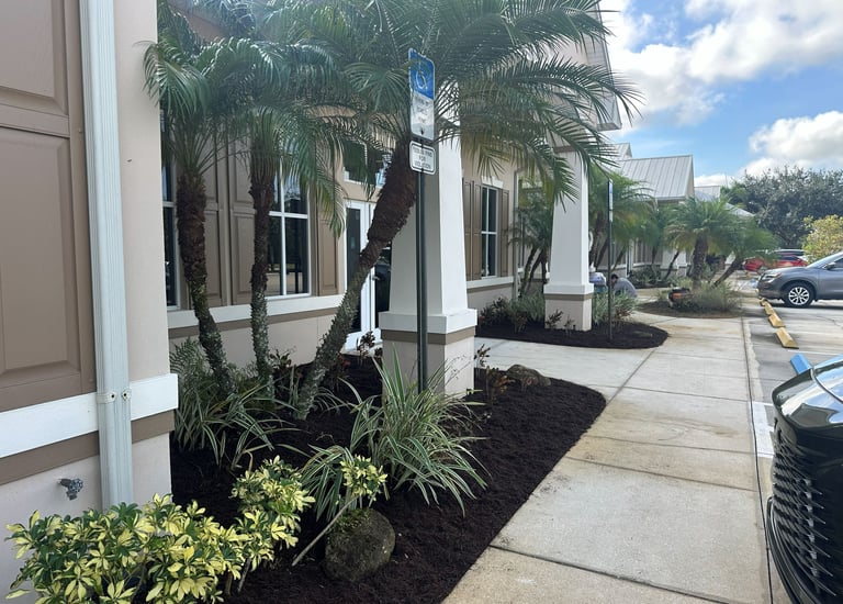 Newly installed plants and mulch