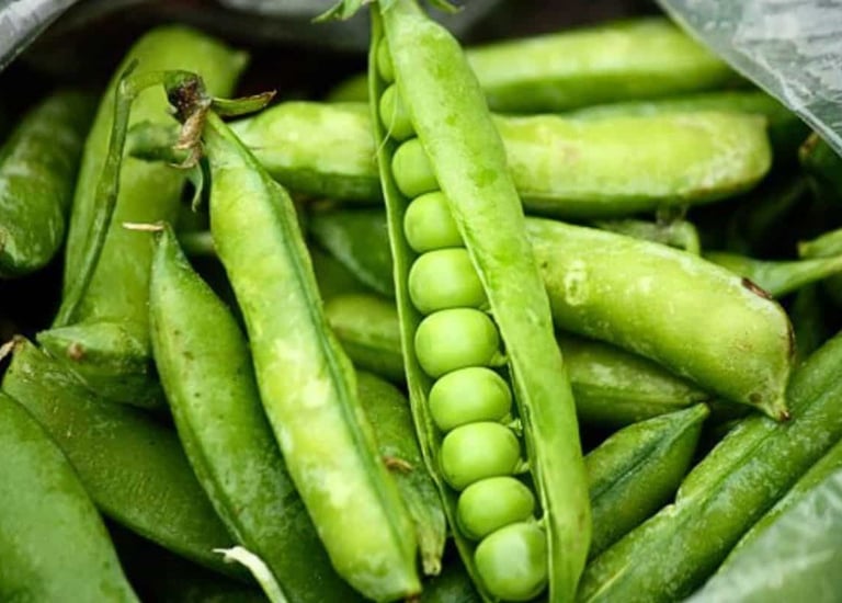 .Import Egyptian Fresh Peas - HS Code 070810