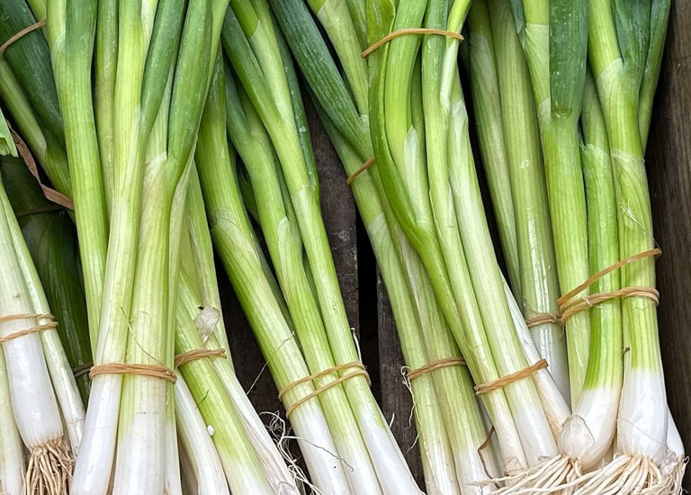 .Import Egyptian Fresh Spring onion - HS Code 070310