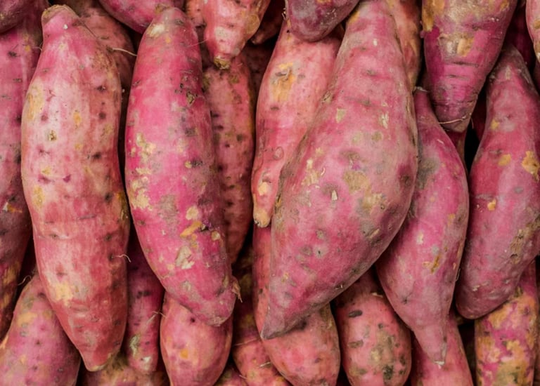 .Import Egyptian Fresh Sweet potato - HS Code 071420