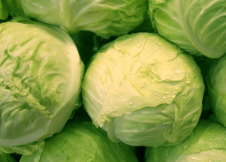 .Import Egyptian Fresh White Cabbage - HS Code 070490
