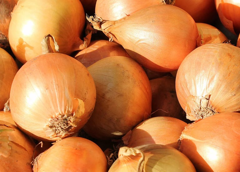 .Import Egyptian Fresh yellow onion - HS Code 070310
