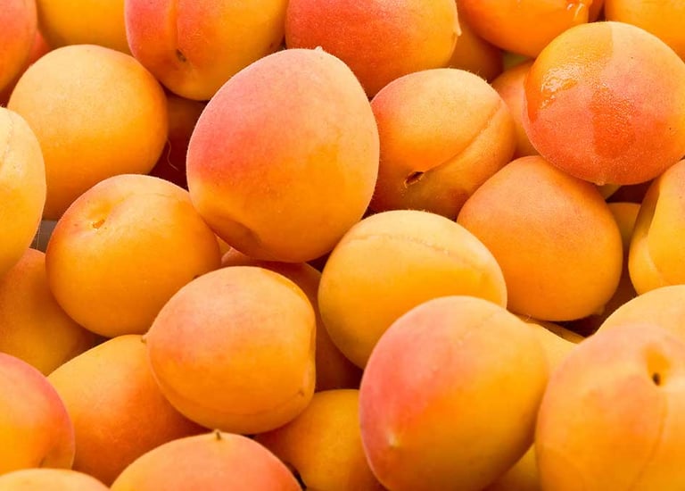 Import Egyptian Fresh Apricots - HS Code 080910